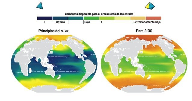 comparacao!